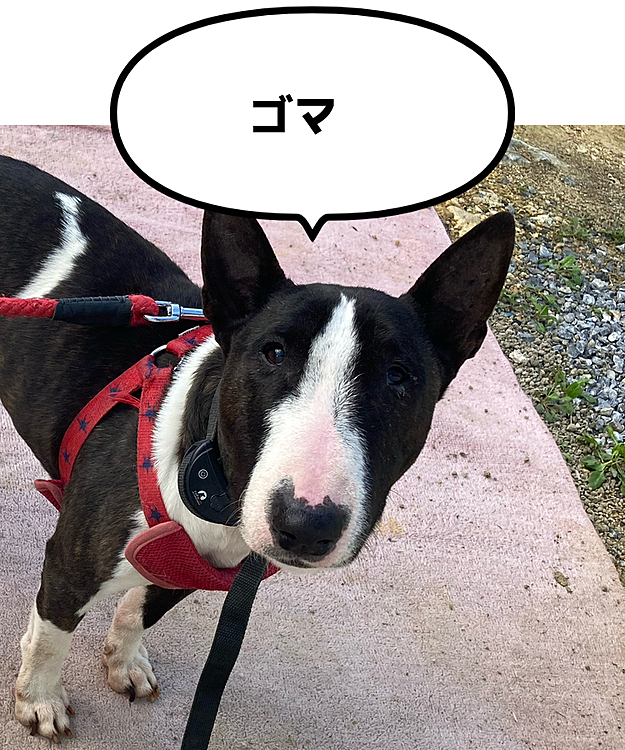お仕事いってきま……休もうかな？？
