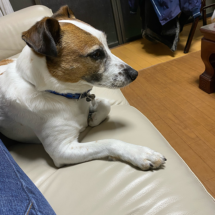 今日は、やけに、私に張り付いてる？😊