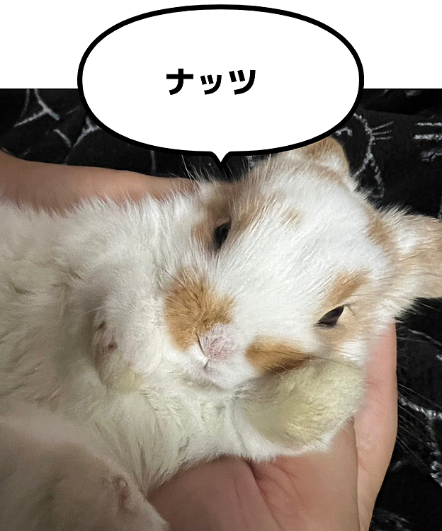 おはようございます〜♡♡
(*´д`)ｽｰﾊｰｽｰﾊｰ(朝イチウサギ吸い)
最高だぜぇ〜ヽ(ﾟ∀｡)ﾉﾋｬｯﾊｰ!!