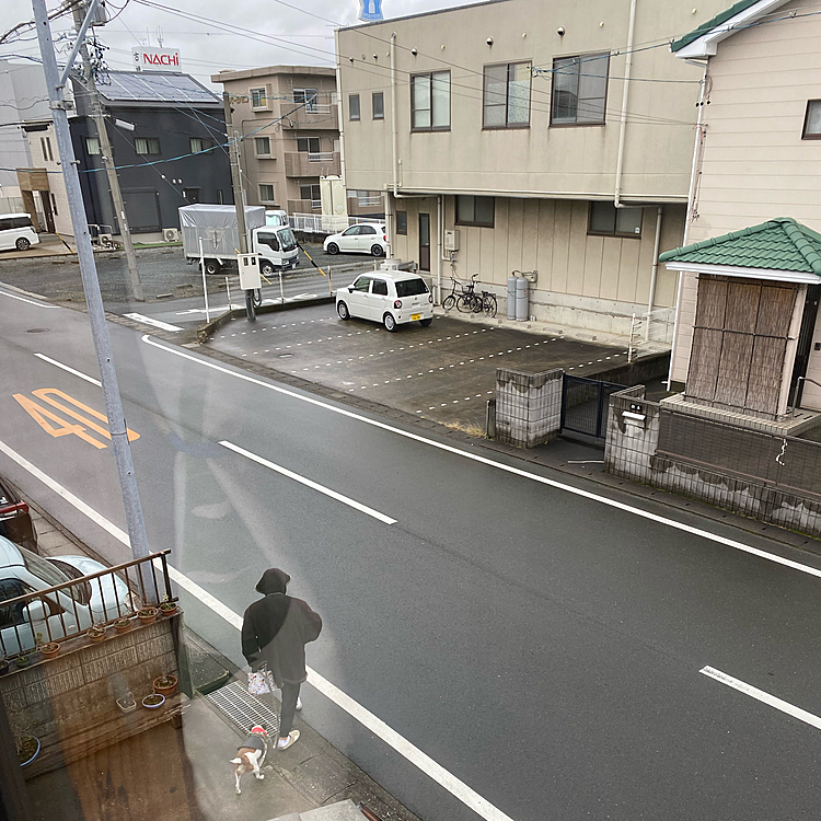 朝からめちゃくちゃ凄い風