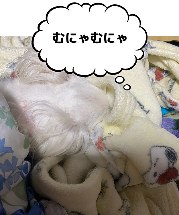 今度はフリースの上着に顔を埋めてます