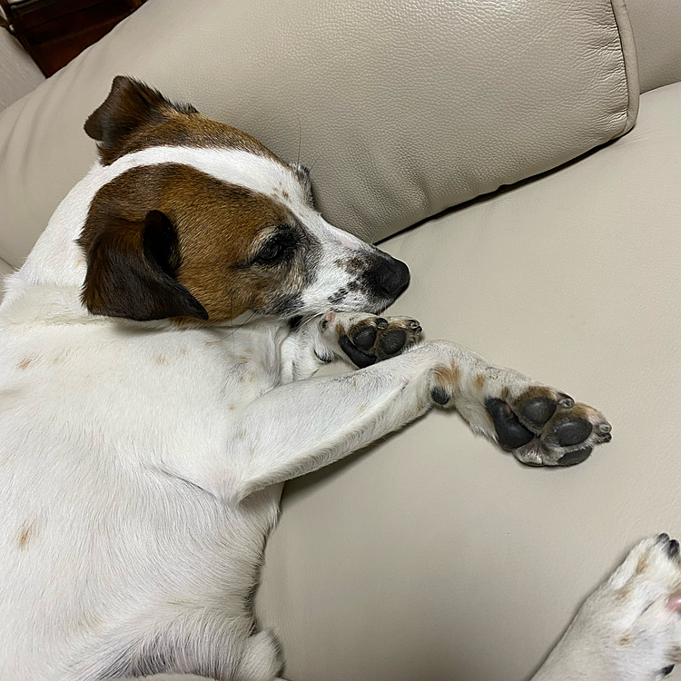 眠くて眠くて、、