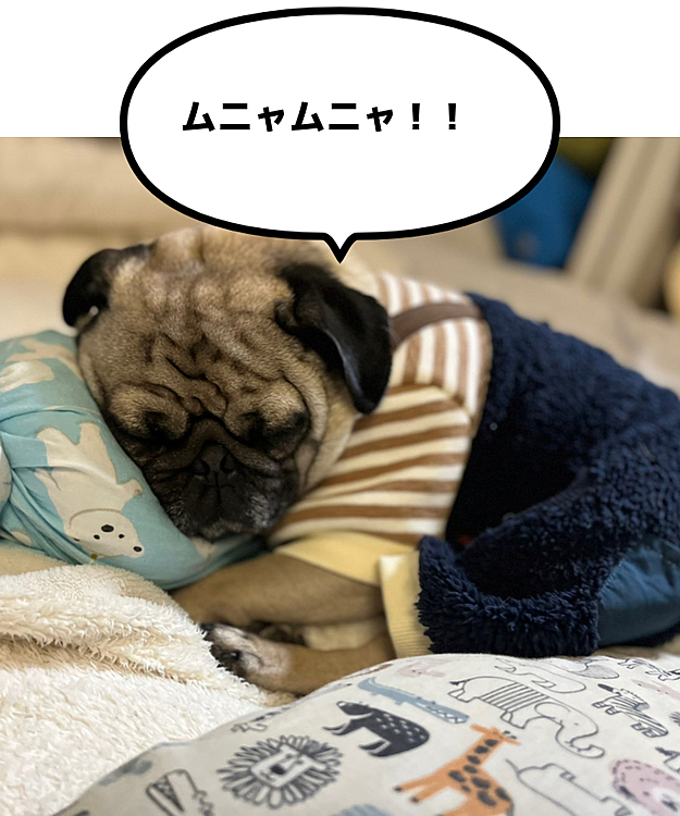 おやすみなさい😘💤⭐
