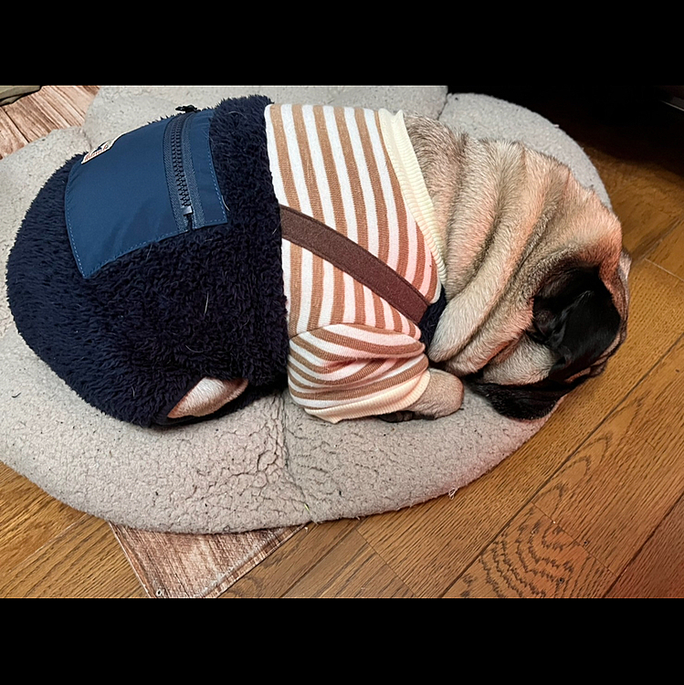 ダンゴムシみたい🤣