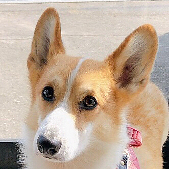 おかーたん😃
天気がいーよ😍
春か？もしかして😃