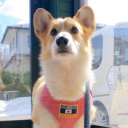 もっと外にいたいよ〜😃