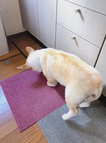 かと、思えば。。
謎のホリホリ🤣
何もないよ？笑笑