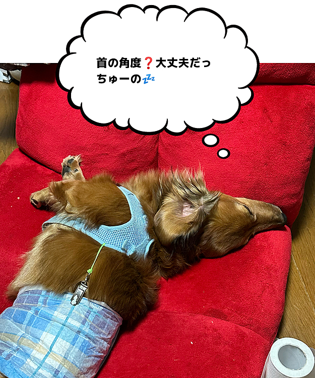 首の角度が…大丈夫なんだろうか⁉️😅😅😅