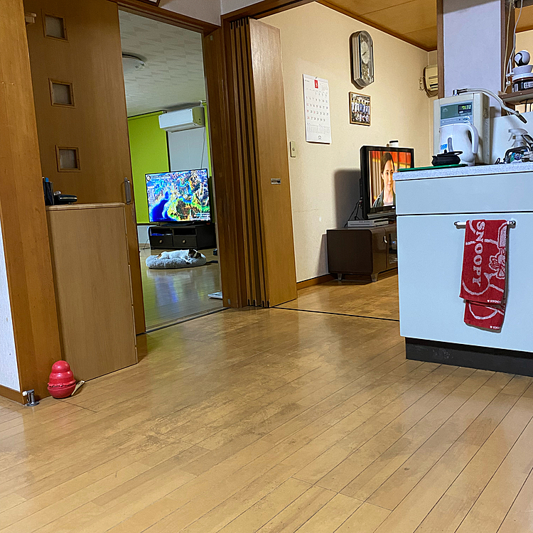 みんな勝手にテレビ見ててつまんな〜い❗️