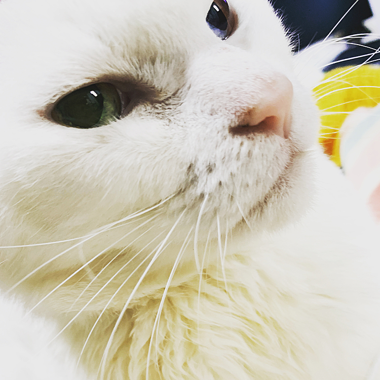 ななみの投稿