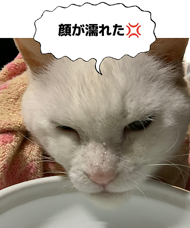 ななみの投稿
