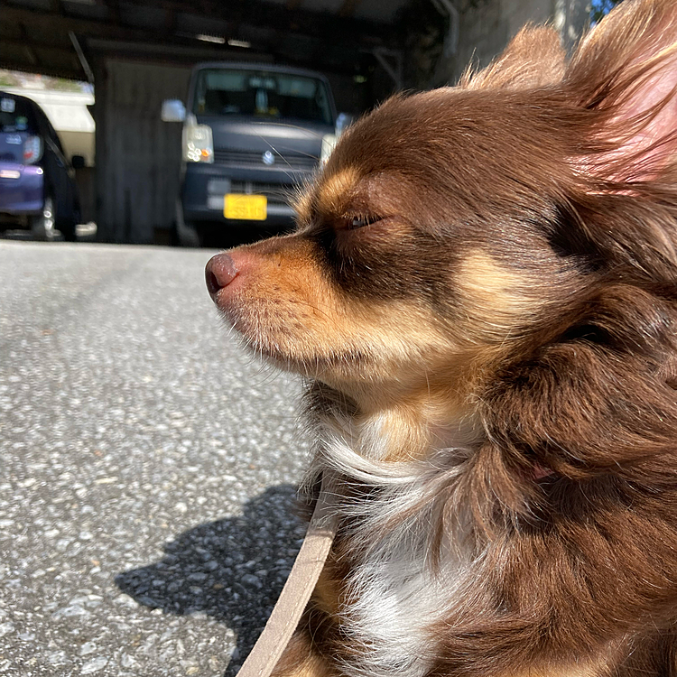 まぶしい^o^