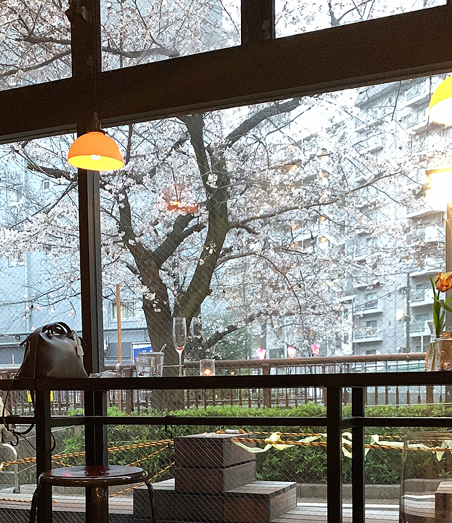 桜を観ながらご飯食べて。
夕暮れになってきました。