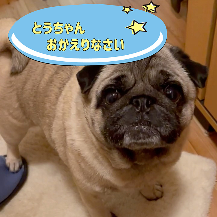お仕事帰りのとうちゃんをお出迎え