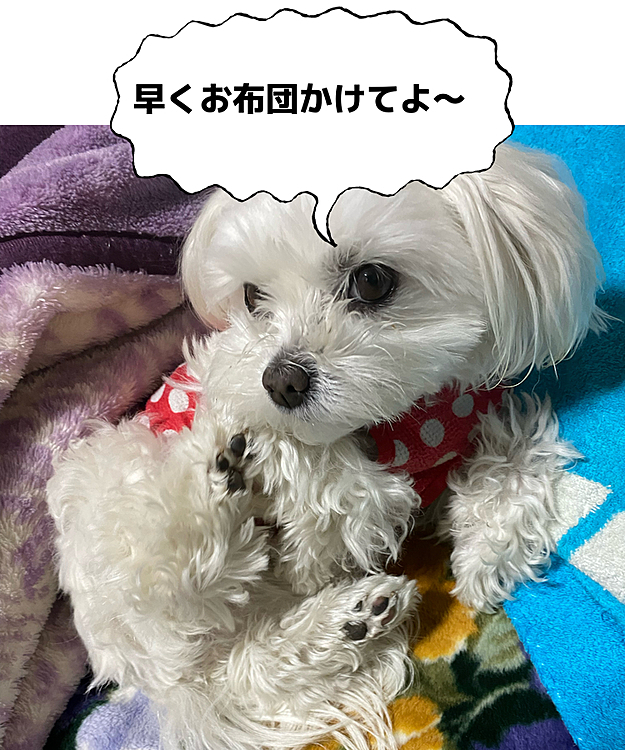 ココの母の投稿