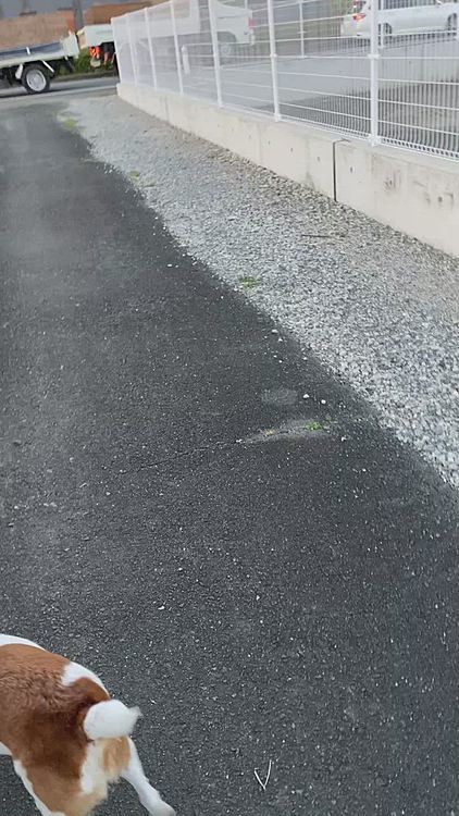 らあめん屋を抜けて、、