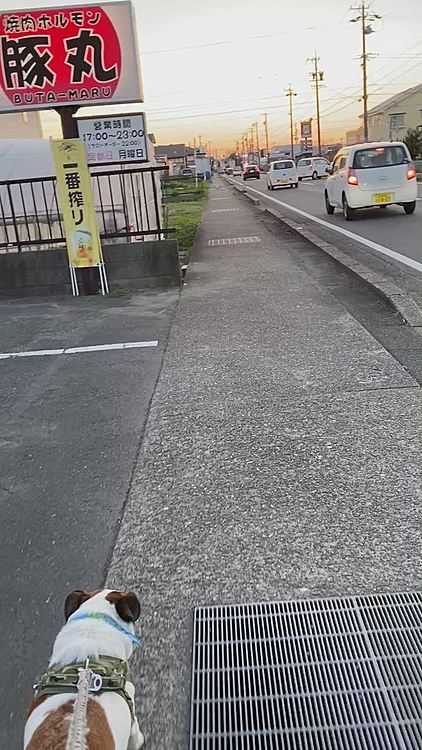 焼肉屋も通り、、
