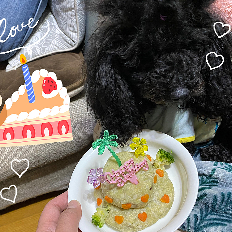 テトラ🎂
手作りケーキ