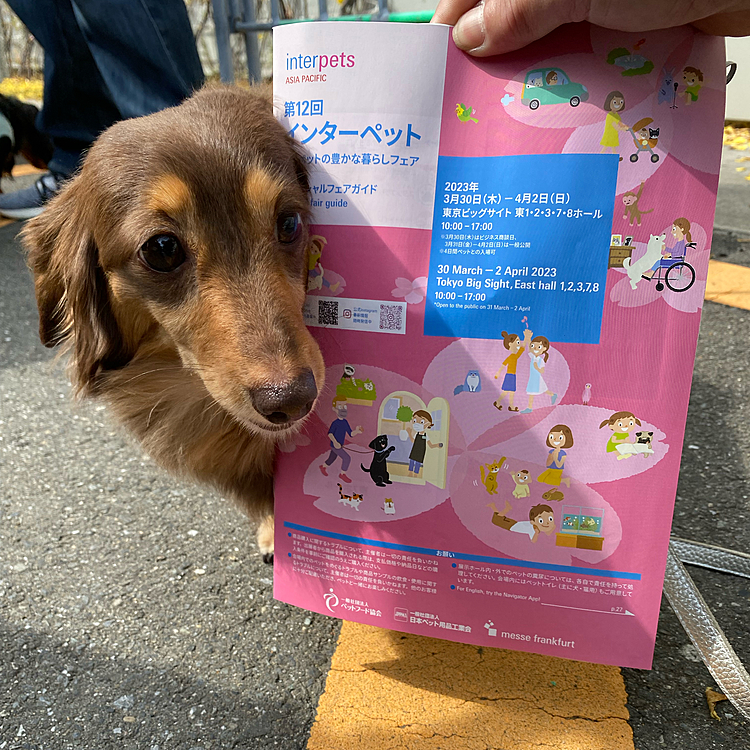 行ってきました！インターペット2023！