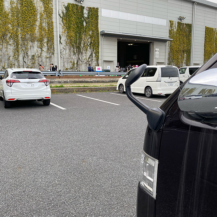 駐車場付きチケットの駐車場と入場口の距離が近く、途中荷物置きに行くのも楽😆
高かったけど駐車場付きにして良かった😁