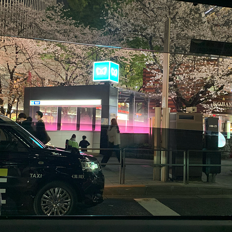先週も映画を観に行ったんですけど、今週も桜がちゃんと咲いていて車からだったんですけど信号待ちで一瞬撮りました。