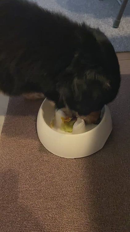 あっという間に完食です。
このお皿、食べにくいやつだったよなー😅