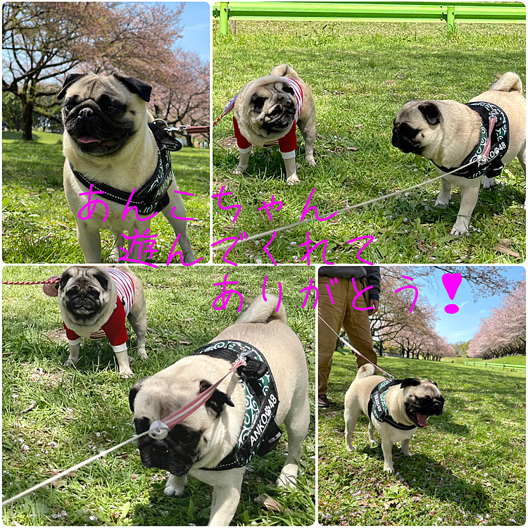ビミョーな距離でご挨拶❣️
遊んでくれてありがとう☺️💨
