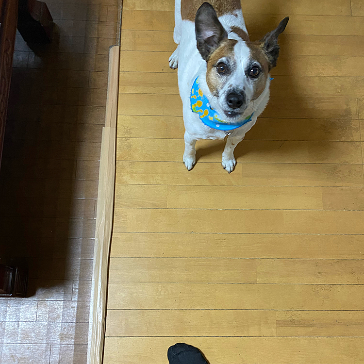 おいていかれそうな雰囲気に、、