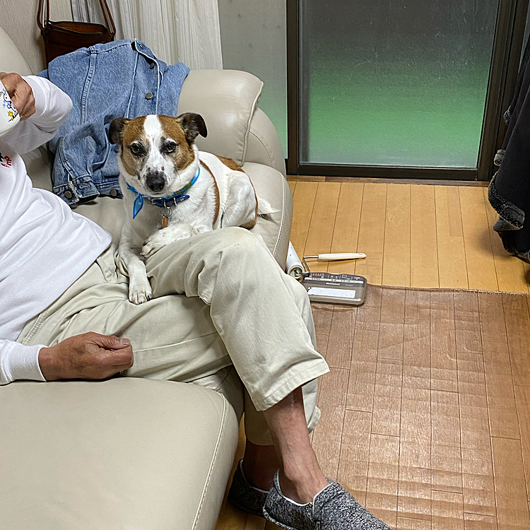 張り付いて、、