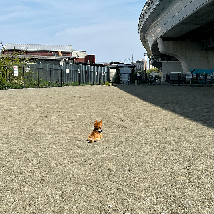 だーれもいない…
入り口を見つめる櫂でした😅