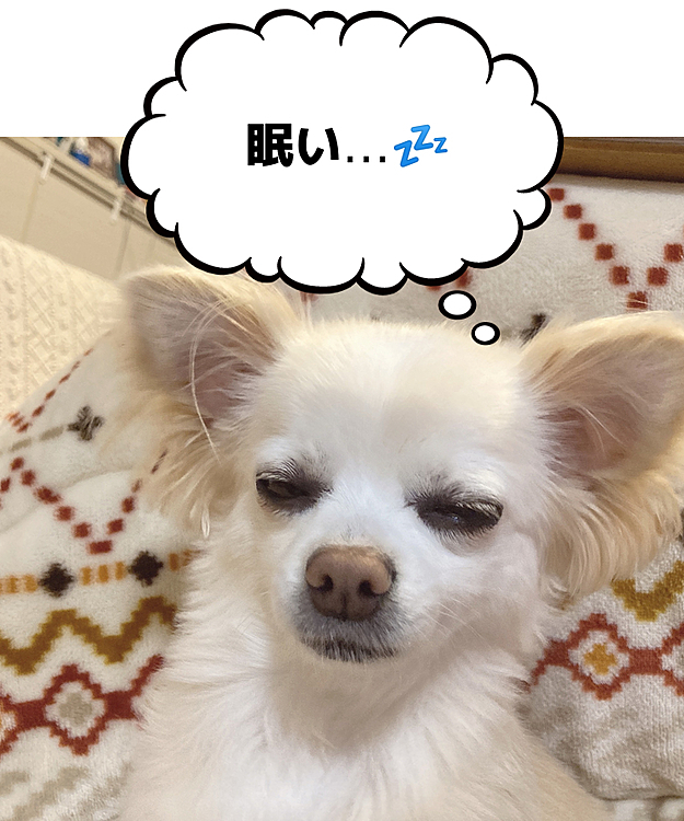 マロンママの投稿
