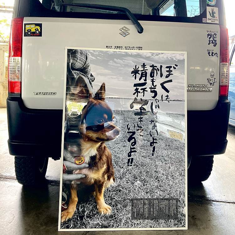 沖展会場より
作品の引き取り行ってきました
　　
　

去年8月
ブリーダー崩壊で
保護犬の団体にレスキューされた
はなちゃんを受け入れして

これまで
見えてなかった

多頭飼育とか
ブリーダー崩壊とか
犬猫の殺処分とか…
