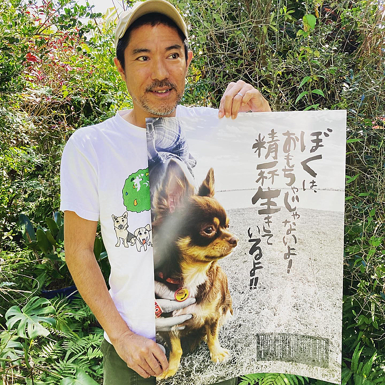 その環境を
少しでも良くしたい!
と言う気持ちだけで
このポスターを作成しました。

これからも
このポスターを
もっと
多くの人にみてもらえるよう
ポスターをいろんな場所で
貼っていただけるよう
動き回りたいと思いますp(^_^)q

一日も早く
犬たち猫たち人間たち
全ての生き物が
ぬくもりいっぱい
溢れる世界になりますように✨　(^-^)いち