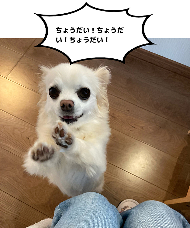 全力でおねだり中😆❗️