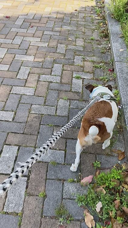 いつもの公園に❣️