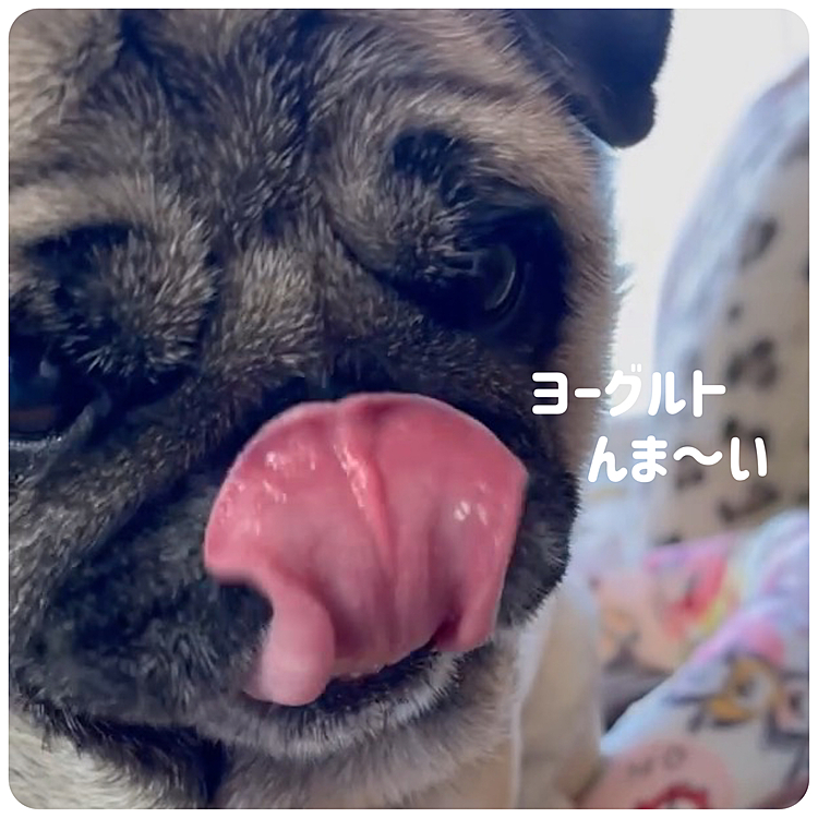 ちょびっとでも『んま〜い』