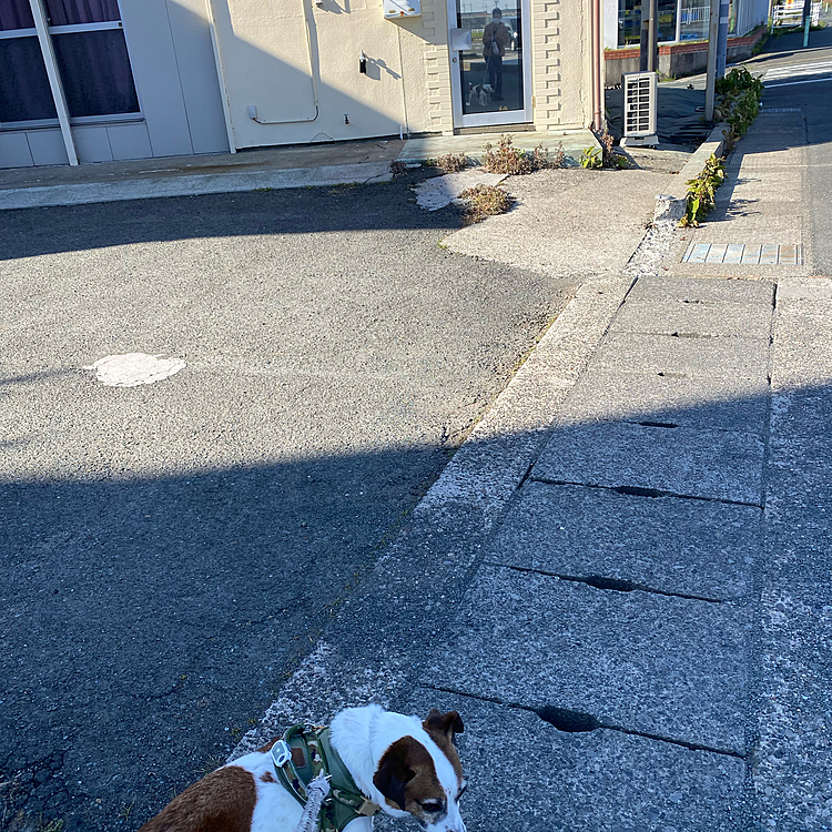 18℃あるのに、風がある為寒くて、早めの散歩に！
服装も冬に逆戻り