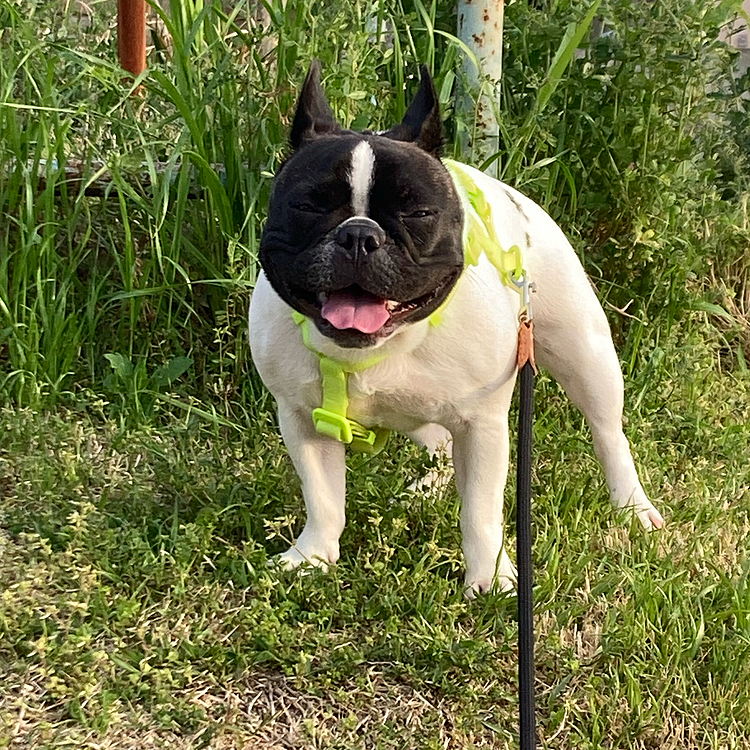 😝