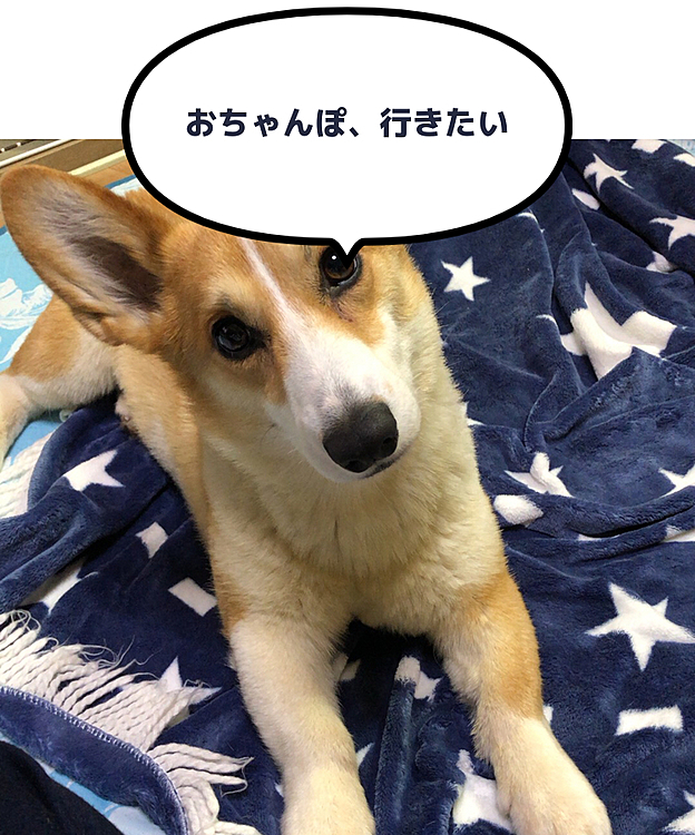まあるママの投稿