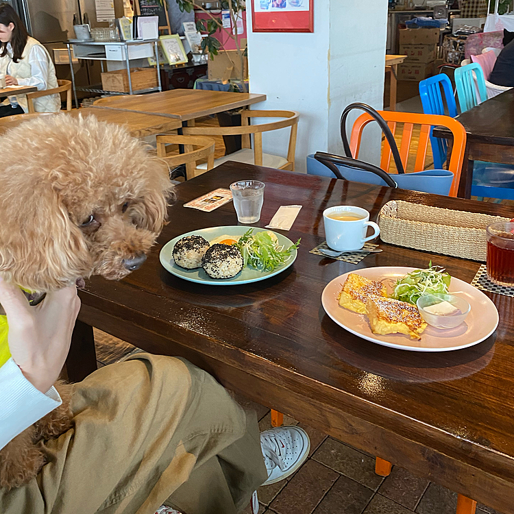 その後はモーニングをしにカフェへ☕️
以前はドリンクの値段に🍙や🍞が付いていたのに久しぶりに行ったらドリンク代＋110円になっていました😁
卵も小麦粉も値上がりしているし仕方ないね🍳