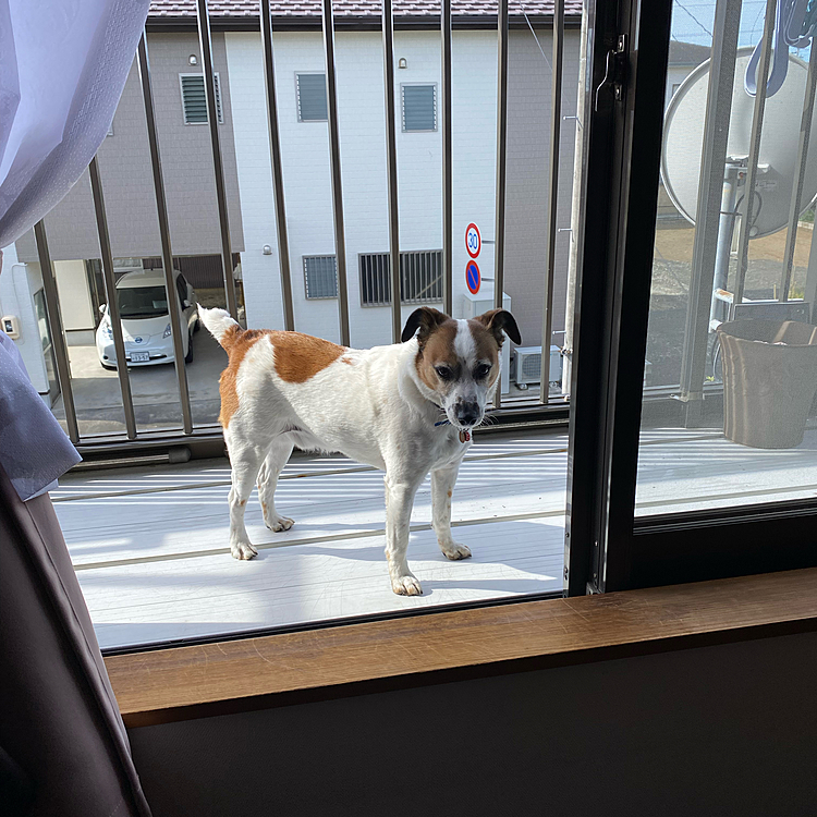 今度は、下行くの?