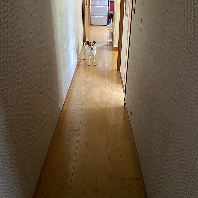 下の廊下で、息子の後追います