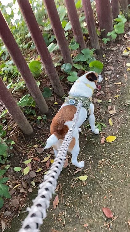 また、石人の星公園に!