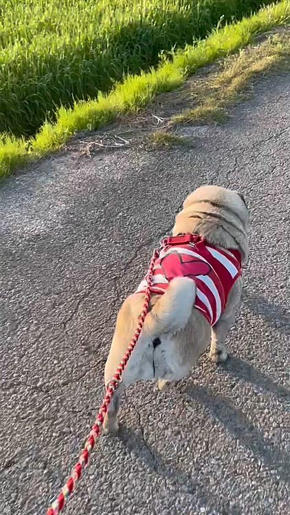 今日は足どり軽〜い🐾🎶