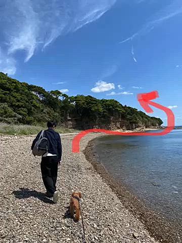 小さな島なのでレンタサイクルを借りる人が多いのですが、ハッピーは歩くの大好きなので歩きながら島散策🐾
自転車では行けない山道を進んだ先には海が広がり、海岸沿いをクルッと回ろうと大冒険♪
結構な難所もありながら15分以上進んだけれど行き止まり💧
ハッピーの大冒険はあっけなく終了😂