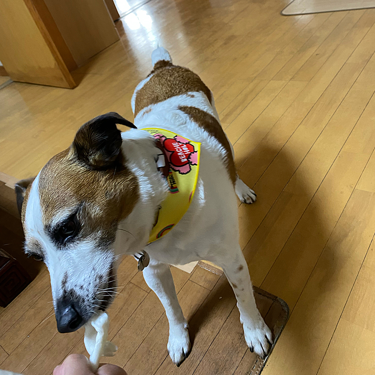 今日は、代休で、家にいるので、遊び相手に❣️