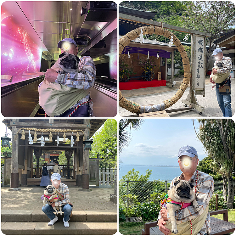 階段が多い江ノ島、とうちゃん抱っこで観光です🐽