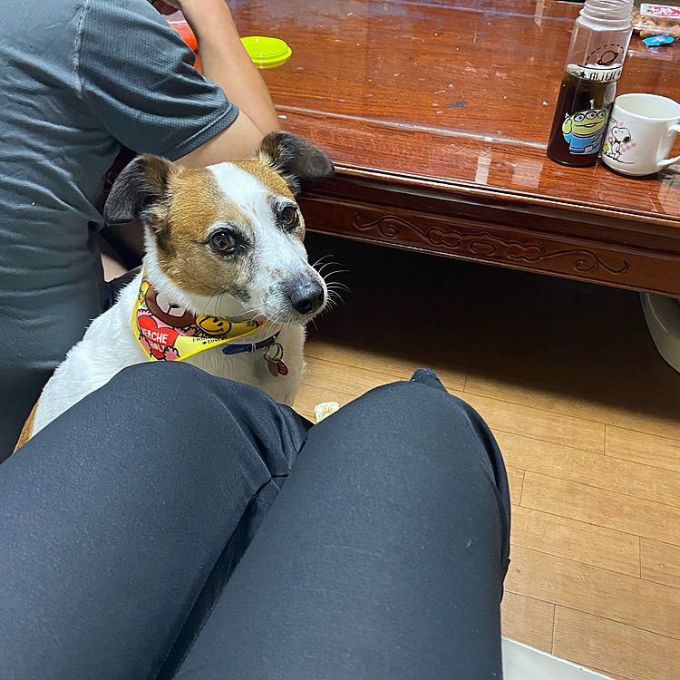 何、食べているの？僕にも、頂戴‼️