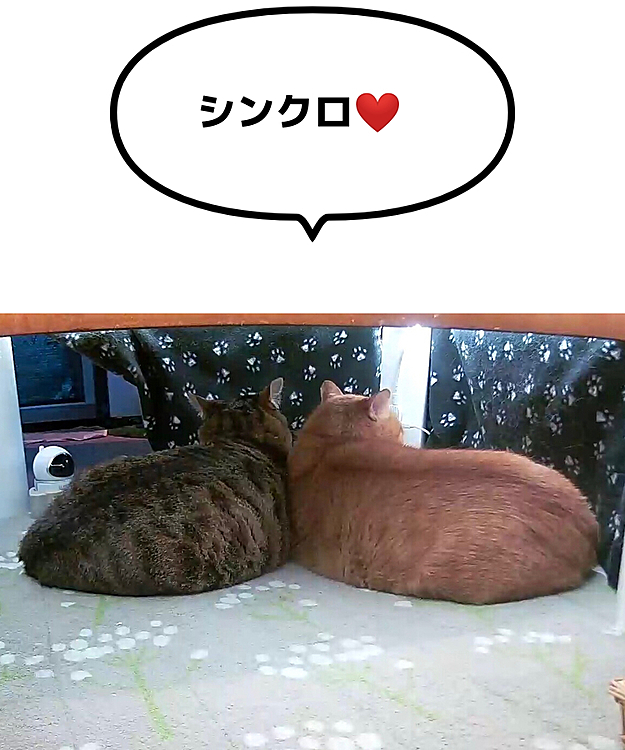 よき😊