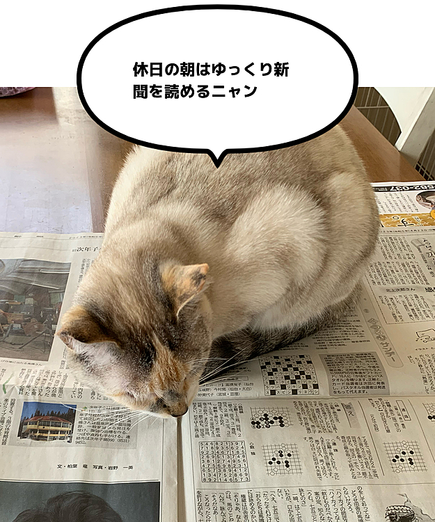 私にはゆっくり新聞を読ませてくれませんが
本にゃんは何だか真面目に読んでます